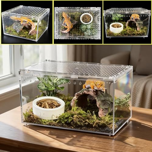 Reptile Terrarium 7.9"x 5.9" x 3.9" Small Gecko Tank Acrylic Snail Terrarium Hermit Crab Tank Spider Enclosure for Scorpion Insect Isopods Invertebrates