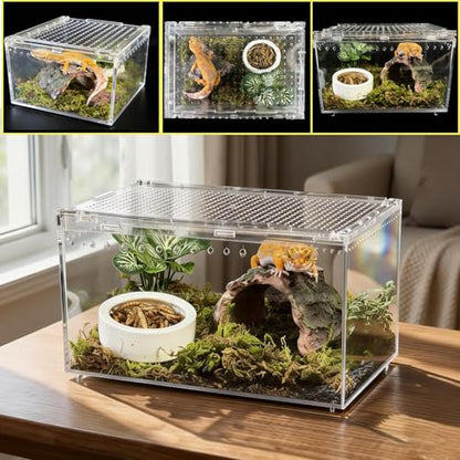 Reptile Terrarium 7.9"x 5.9" x 3.9" Small Gecko Tank Acrylic Snail Terrarium Hermit Crab Tank Spider Enclosure for Scorpion Insect Isopods Invertebrates