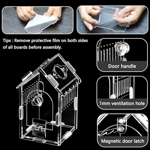 Jumping Spider Enclosure 3.15"×3.15"×5.6" - Magnetic Front Opening Acrylic Terrarium with Ventilation, Escape-Proof Habitat for Tarantulas, Mantis & Small Reptiles, No-Tool Easy Assembly