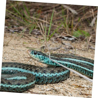 BESPORTBLE Stainless Steel Retractable Snake Hook Telescopic Snake Catching Tool and Grabbers