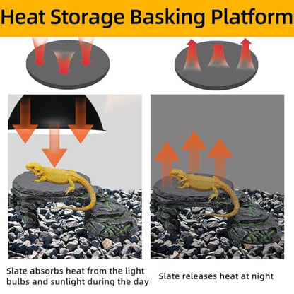Reptile Basking Platform, Turtle Basking Platform Juvenile Beared Dragon Tank Accessoriese Reptile Hide with Rock Plate for Lizard, Leopard, Crested Gecko(Large-Green) - style: style 2