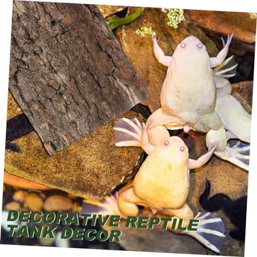 Happyyami 4pcs Fish Tank Landscaping Gecko Tank Backdrop Cork Bark Background Reptile Habitat Decoration Reptile Wooden Cork Tile Aquarium Decor Reptile Tank Natural Cork Bark Crawl 3D