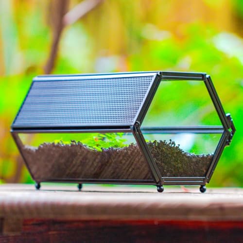 NCYP Small Glass Terrarium Enclosure with Mesh & Door for Tiny Beetle, Jumping Spiders, Hexagon Vented Glass Terrarium 6.8'' x 4.1'' x 3.6'', Indoor Decor, Black (Plants Not Include) - size: 6.8'' x 4.1'' x 3.6''