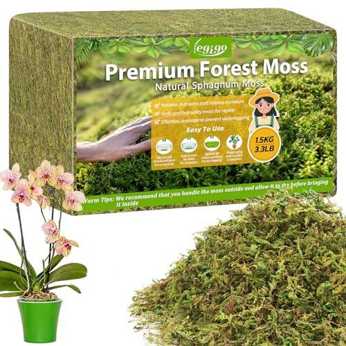 Legigo 3.3LBS Sphagnum Moss for Plants, 60QT Natural Orchid Moss Potting Mix Dried, Green Forest Plant Moss for Orchid Repotting Carnivorous Succulents Indoor Potted Plants Gardening and Reptiles - color: 60 QT(Appx.3.3lbs)