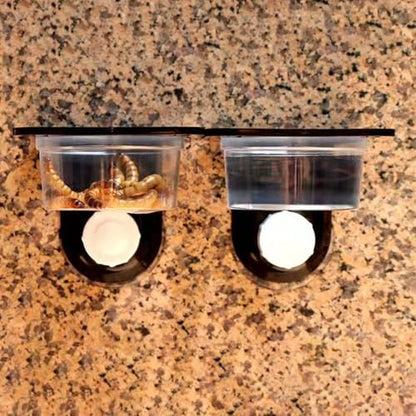 Sucker Reptile Ledge, Acrylic Gecko Feeding Ledge with Cups, Reptile Food Water Feeder Dish for Geckos Iguana Chameleon Pets