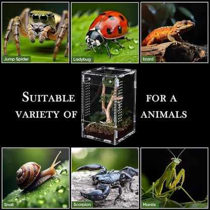 Chameleon Enclosure - Acrylic Tarantula Cage | Escape Proof Reptile Tank,for Observation Home Pet Store Bedroom Living Room Office