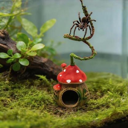 Jumping Spider Hide with Bendable Vine – Mushroom Cave for Tarantula, Gecko & Tree Frog – Reptile Terrarium Decor for Spider Enclosure & Reptile Tank (4"x4"x12")