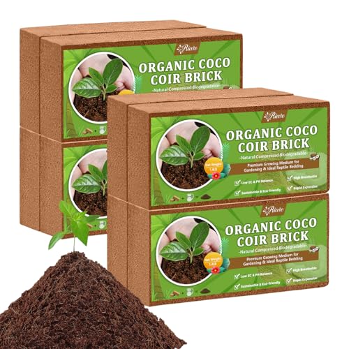 Riare 8pcs Organic Coco Coir Bricks Soil Blocks- 100% Natural Compressed Coco Peat Brick Coconut Fiber Substrate with Low EC& pH Balance, High Expansion Coco Coir Pith Coconut Husk for Garden - color: Pack of 8
