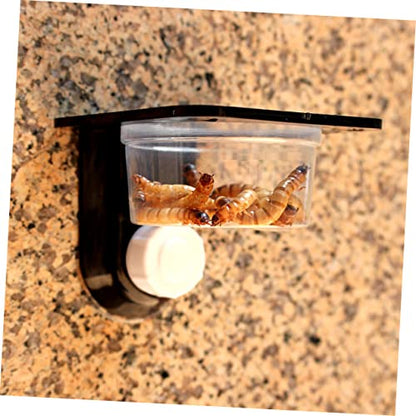 ibasenice 2pcs Reptile Water and Food Dish Black Cup Style Feeding Bowl for Tortoise Lizard and Other Reptiles and Easy to Clean - size: Size 5