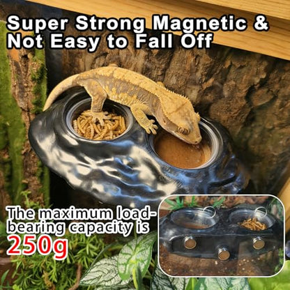 Tfwadmx Magnetic Reptile Feeder Ledge, Gecko Feeder Ledge with 4 Cups Reptile Feeding Bowl Terrarium Accessories for Geckos Lizards Chameleons Frog (Black) - color: Black