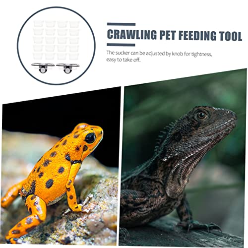 1Set Reptile Feeding Ledge Water Feeder Durable Reptile Tank Supplies with Suction Cups for Easy Installation for Geckos Lizards and Amphibians