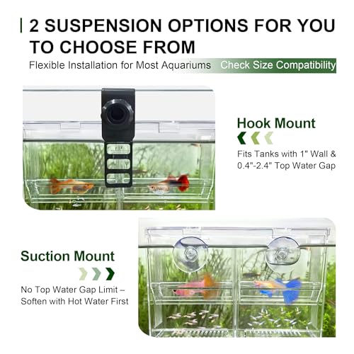 Dual-Chamber Aquarium Fish Breeder & Isolation Box, Transparent Hatching Incubator Tank with Suction Cups & Hook, Nursery for Livebearer Guppy Fry Breeding and Betta Fish, Shrimp Quarantine - size: Dual-Chamber (6.88*3.62*4.33 IN)