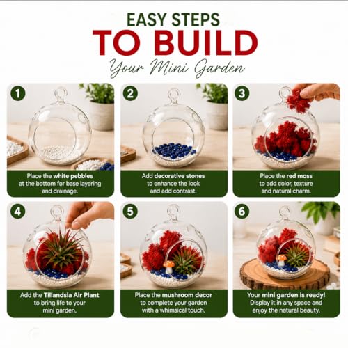 Creations by Nathalie - DIY Terrarium Kit with Live Air Plant (Local & Fresh from Florida), Reindeer Moss, Figurine, Healing Crystal Chips and Sand - Handmade in USA (4" Glass Globe) - color: 4" Glass Globe