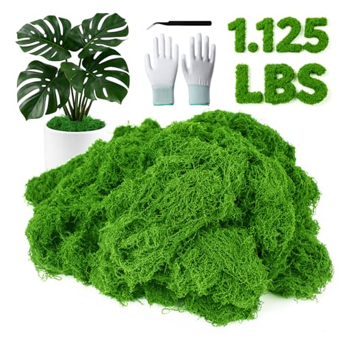 MGLIFEUL 1.5 LBS Artificial Fake Moss for Crafts Plants Indoor with Non-Stick Gloves and Tweezers，Preserved Green Plant Faux Craft Moss Musgo for Fairy Garden Outdoor Home Decorating Model Making - color: Emerald Green, size: 1.5 LBS