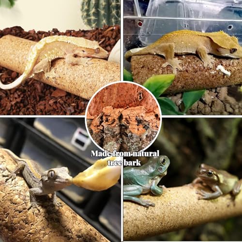 Crested Gecko Tank Accessories, Reptile Decor,Reptile Hanging Plants Vines with Coconut Shell Ladder Hideout Hermit Crab Decor for Lizard, Chameleon Cage, Snakes, Hermit Crab, Leopard Gecko (Decor-1)