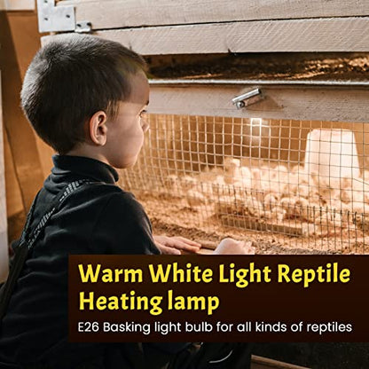 Lustaled 8Pack 50W Reptile Heat Lamp Bulbs E26 Dimmable Full Spectrum Sun Lamp Turtle Heat Bulb for Bearded Dragon, Chicks, Lizard, Snake, Puppies