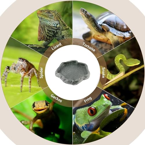 AYNEFY Reptile Food Water Rock Bowls,Resin Reptile Feeder Lizard Feeding Dish Amphibian Feeder Bowl Terrarium Decor for Bearded Dragons Leopard Gecko Frog Snake(Emerald - size: S