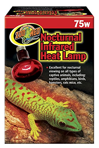 Zoo Med Nocturnal Infrared Incandescent Heat Lamp 75 Watts - color: Red, size: 1 Count (Pack of 1)