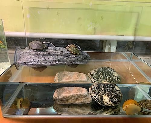 YZHZOM Turtle Basking Platform with Suction Cups, Floating Resting Terrace for Frogs, Terrapins and Tortoises
