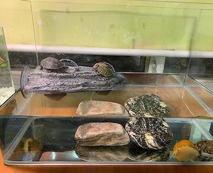 YZHZOM Turtle Basking Platform with Suction Cups, Floating Resting Terrace for Frogs, Terrapins and Tortoises
