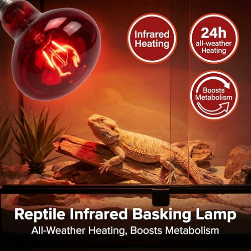150W Reptile Heat Lamp, 2 Pack Day & Night Basking Lamp Combo, UVA Daylight Heat Bulb & Infrared Red Night Heating Light, Terrarium Heat Lamps for Reptiles, Bearded Dragon, Lizard, Chicken
