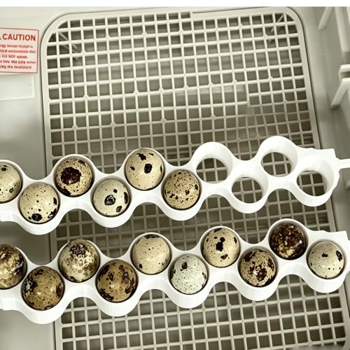 Jumbo Quail Egg Basket for Maticoopx 30 & Zohoko 24 Incubator – Replacement Egg Tray for Large Quail Eggs, Secure Fit Incubation Basket (White) - color: White