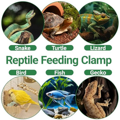Reptile Feeding Clamp, 4 PCS Reptile Feeding Tongs Plastic Reptiles Poop Scoop for Gecko Turtle Lizard Frog Snake and Other Small Animals