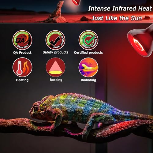 Reptile Red Heat Bulb 75W – Infrared Night Lamp for Lizards and Snakes, 2000H Lifespan, E26 Socket