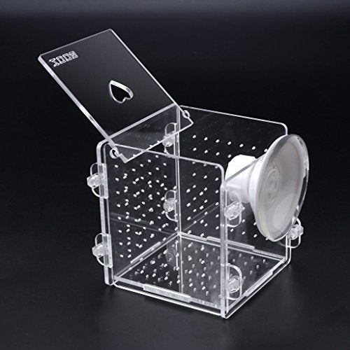 Fish for Hatchery Incubator Aquarium Breeding Box Acrylic Breeder Isolation Hatching Boxes with Suction Cup