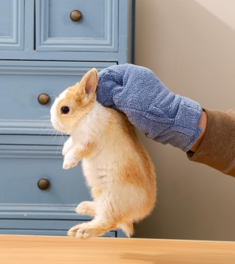 1 pc Hamster Glove Anti Bite Guinea Pig Handling Glove Bite Proof Rabbit Holding Glove Biting Protection Bath Wipe for Hedgehog Sugar Glider Gerbils Mice Rats Small Animals Parakeet (blue star) - color: blue star