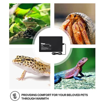 iPower 8X12 Inch Reptile Heat Pad Under Tank Heater Terrarium Warmer Heating Mat and Digital Thermostat Controller for Turtles Lizards Frogs and Other Small Animals - size: 8 X 12 Inch, style: Pad + Thermostat