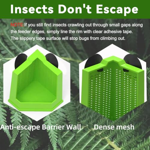 Chameleon Feeder Bearded Dragon Box Reptile Feeder with Suction Cup, Wall Mounted Insect Feeder Escape-Proof Corner for Lizard, Iguana, Gecko, Frog (Medium)
