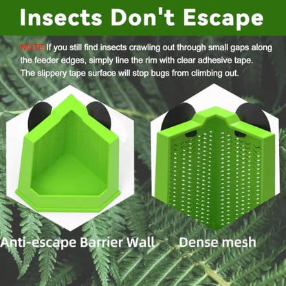 Chameleon Feeder Bearded Dragon Box Reptile Feeder with Suction Cup, Wall Mounted Insect Feeder Escape-Proof Corner for Lizard, Iguana, Gecko, Frog (Medium)