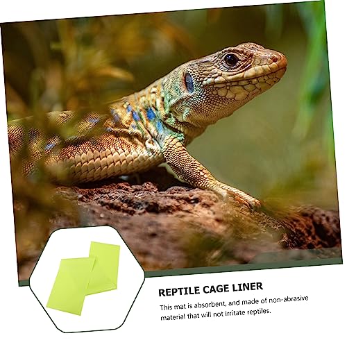 Happyyami 2pcs Reptile Carpet Mat and Washable Liner for Terrarium Bedding for Lizard Turtle Habitat and Non-Absorbent Material