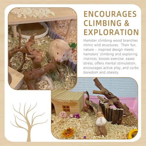 kathson 2Pcs Wood Hamster Climbing Branches Decor, Natural Wooden Syrian Hamster Climb Chewing Toys, Rat Exercise Toys, Small Animal Habitat Decor Accessories for Dwarf Pets, Mice, Gerbils