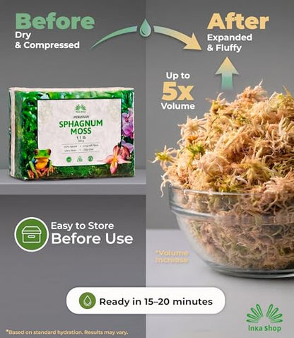 Long Fiber Sphagnum Moss for Indoor Plants Peruvian Orchid Moss Ultra Clean Odor Free Fast Expanding Moisture Retention Airy Drainage for Aroids Carnivorous Plants Terrarium Reptile Bedding (1.1lb) - size: 1.1lb