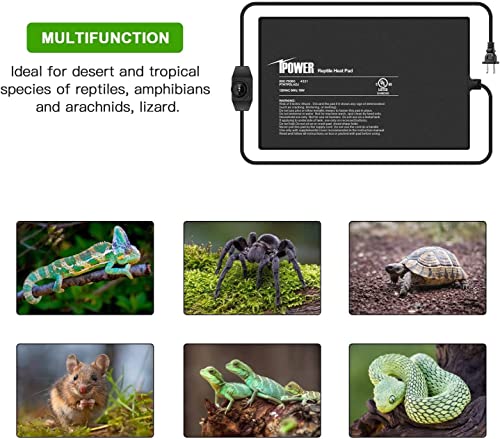 iPower 8 by 12-Inch Reptile Heat Mat with Temperature Adjustable Controller Knob, LCD Digital Aquarium Thermometer for Reptiles and Amphibians,Black