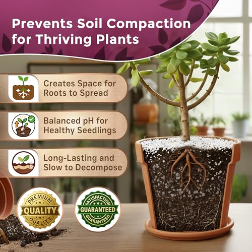 Professional Perlite for Plants 2.2 Quarts, Medium Grade Perlite Soil Additive for Indoor Outdoor Plants, Perlite for Gardening, Lightweight pH Neutral Soil Amendment, Made in USA - style: Perlite Soil Additive (2.2 Quarts)