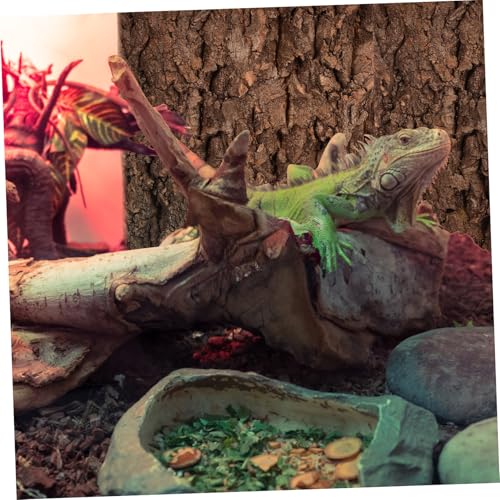 HANABASS 2pcs Cork Bark Aquarium Decoration for Reptiles Natural Terrarium Climbing Bark for Snake Gecko Habitat Versatile Fish Tank Landscaping Accessories