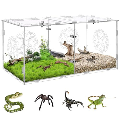 Acrylic Jumping Spider Enclosure with Double Compartments, Large Size,15.7 * 7.8 * 7.8 inches, Reptile Terrarium Aquarium Breeding Tank for Reptiles Spiders Snake Lizard - color: transparent