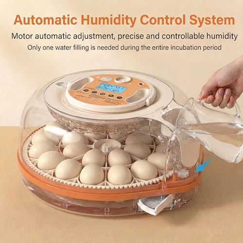 26-59 Egg Incubator with Automatic Egg Turning, Voice-Controlled Machine,Temperature & Humidity Control, Built-in Egg Candler, 360° View Clear Lid for Hatching Chicken Duck Quail Goose Eggs - color: Orange