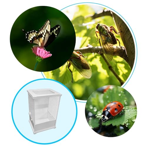 Clear Terrarium, Mantis Habitat Tank, Reptile Cage with Easy Viewing Design, Enclosure with Removable Lid, Acrylic Cage Ventilation Slots, Nesting Habitat for Breeding and Feeding - size: Large