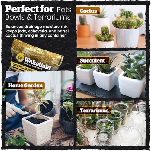 Wakefield Biochar Blend Potting Mix for Cactus & Succulent – Premium Potting Soil Blend with CarbonBoost Technology for Superior Drainage, Moisture Retention & Root Growth – 2 QT Organic Soil Mix - size: 2 Quart