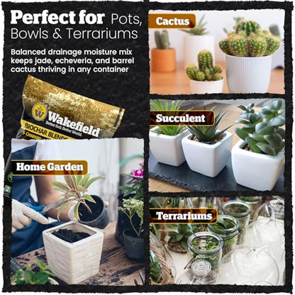 Wakefield Biochar Blend Potting Mix for Cactus & Succulent – Premium Potting Soil Blend with CarbonBoost Technology for Superior Drainage, Moisture Retention & Root Growth – 2 QT Organic Soil Mix - size: 2 Quart