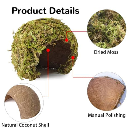 kathson 2Pcs Hamster Hideout, Hamster House, Natural Mossy Coconut Hut, Pet Hiding House, Small Animal Cage Accessories for Mouse Mice Rat Guinea Pigs Reptiles