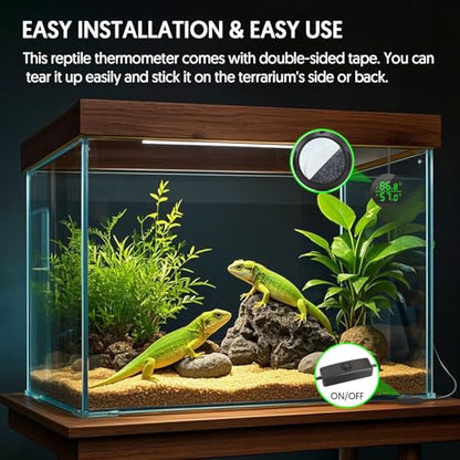 QZQ Reptile Thermometer and Humidity Gauge, LED Digital Thermometer Hydrometer, Reptile Tank Accessories for Bearded Dragon, Crested Gecko, Snake, Jumping Spider, Lizard, USB Power Supply (Black) - color: Black