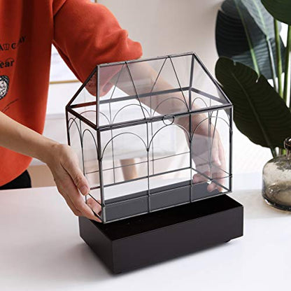 Large 11.5" Tall Plant Terrarium Glass – Glass Greenhouse Terrarium with Lid and Tray,Indoor Tabletop Orchid Succulent Cacti Terrarium