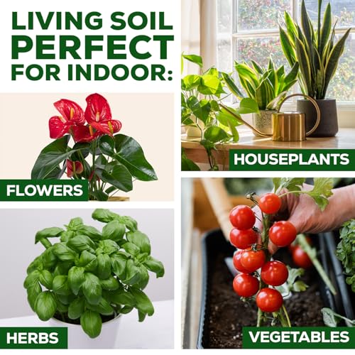 Organic Potting Soil for Indoor Plants. Boost House Plant Growth for Monstera, Fiddle Leaf, Money Tree, Pothos, Snake Plant, Aroid, Flowers, Herbs, Veggies, & More, Smart Grower 3 LB Ready to Plant