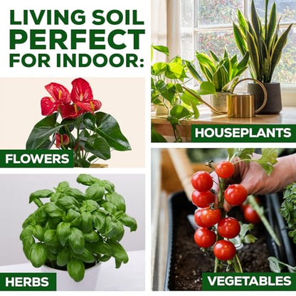 Organic Potting Soil for Indoor Plants. Boost House Plant Growth for Monstera, Fiddle Leaf, Money Tree, Pothos, Snake Plant, Aroid, Flowers, Herbs, Veggies, & More, Smart Grower 3 LB Ready to Plant