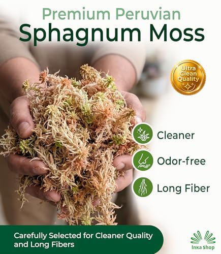 Long Fiber Sphagnum Moss for Indoor Plants Peruvian Orchid Moss Ultra Clean Odor Free Fast Expanding Moisture Retention Airy Drainage for Aroids Carnivorous Plants Terrarium Reptile Bedding (2.2lb) - size: 2.2lb